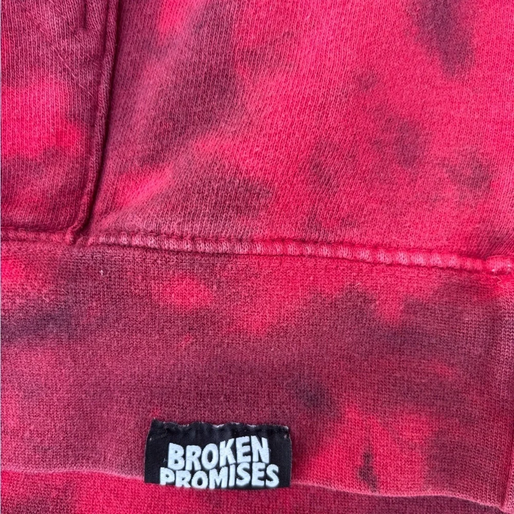 Broken Promises - Picture 2 of 6